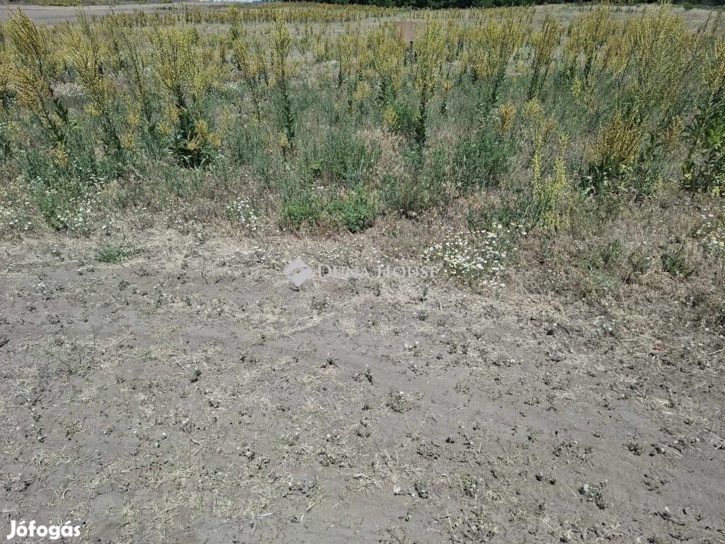 Eladó telek, Újszilvás