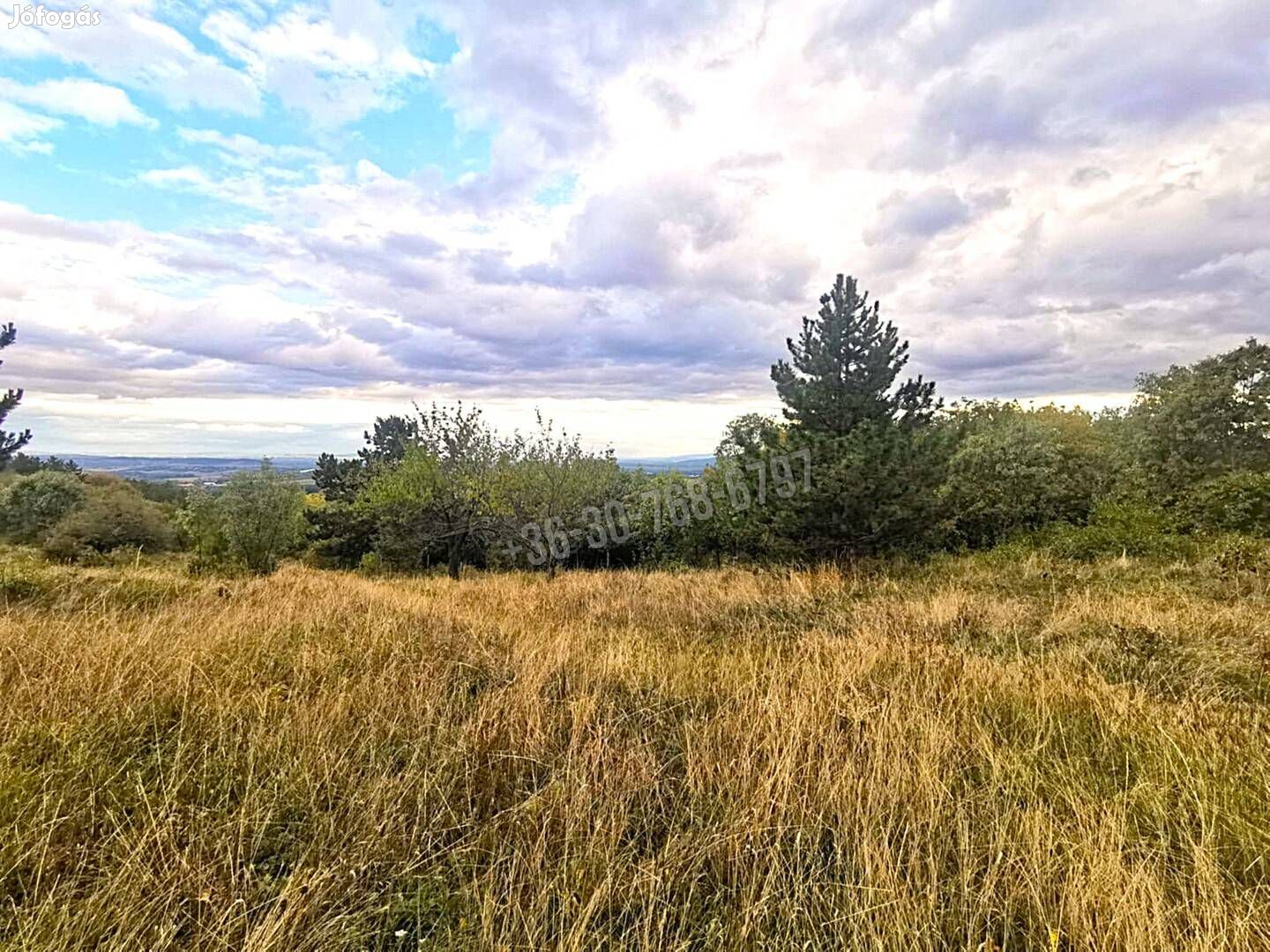 Eladó telek, Vác Gombás, 35000000 Ft, 10000 nm 11962_bhi