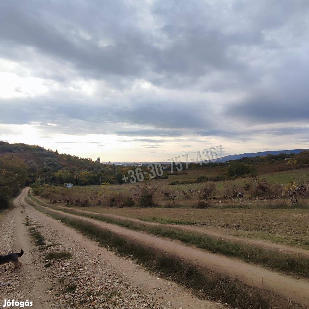 Eladó telek, Vác Hermány, 6000000 Ft, 813 nm 1862_pl
