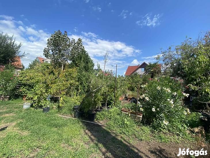 Eladó telek - Dunakeszi