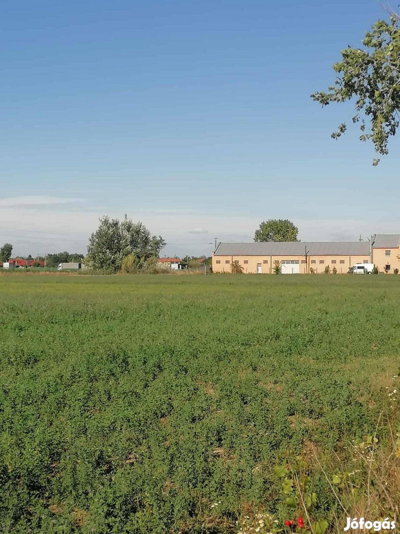 Eladó telek, föld Szigetszentmiklós, Gyári út