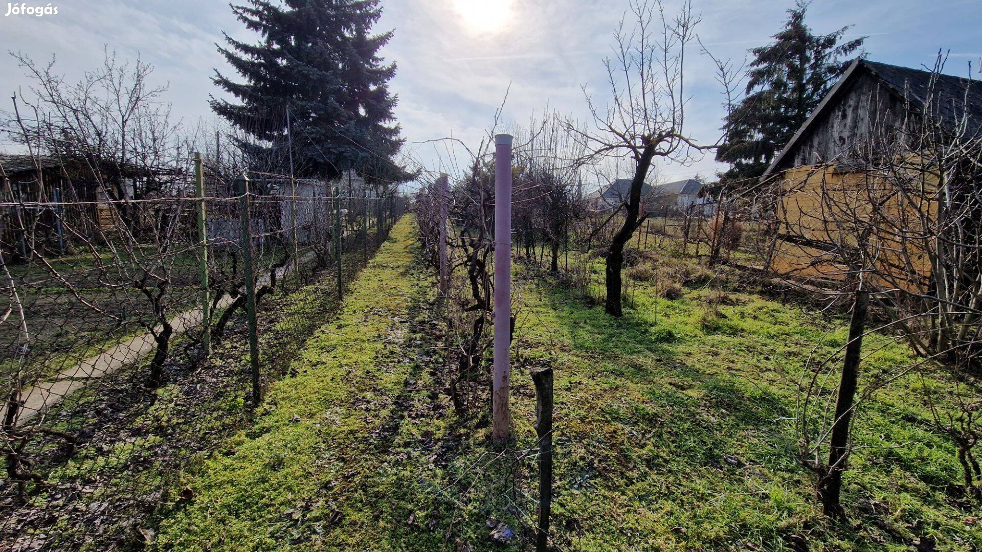 Eladó telek (szőlő) Dunaújváros, Császár tanyák
