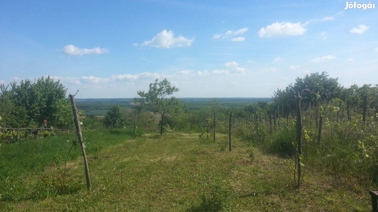 Eladó telkek Lenti hegyen