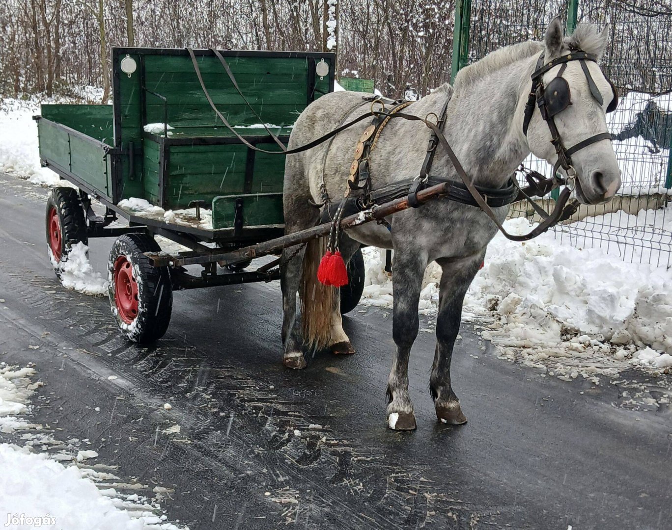 Eladó vagy cserélhető csődör póni!