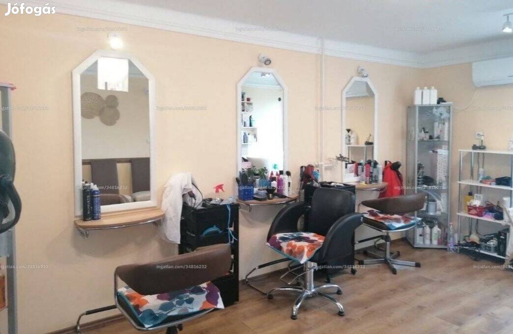 Eladó vállalkozásra és lakhatásra is alkalmas családi ház