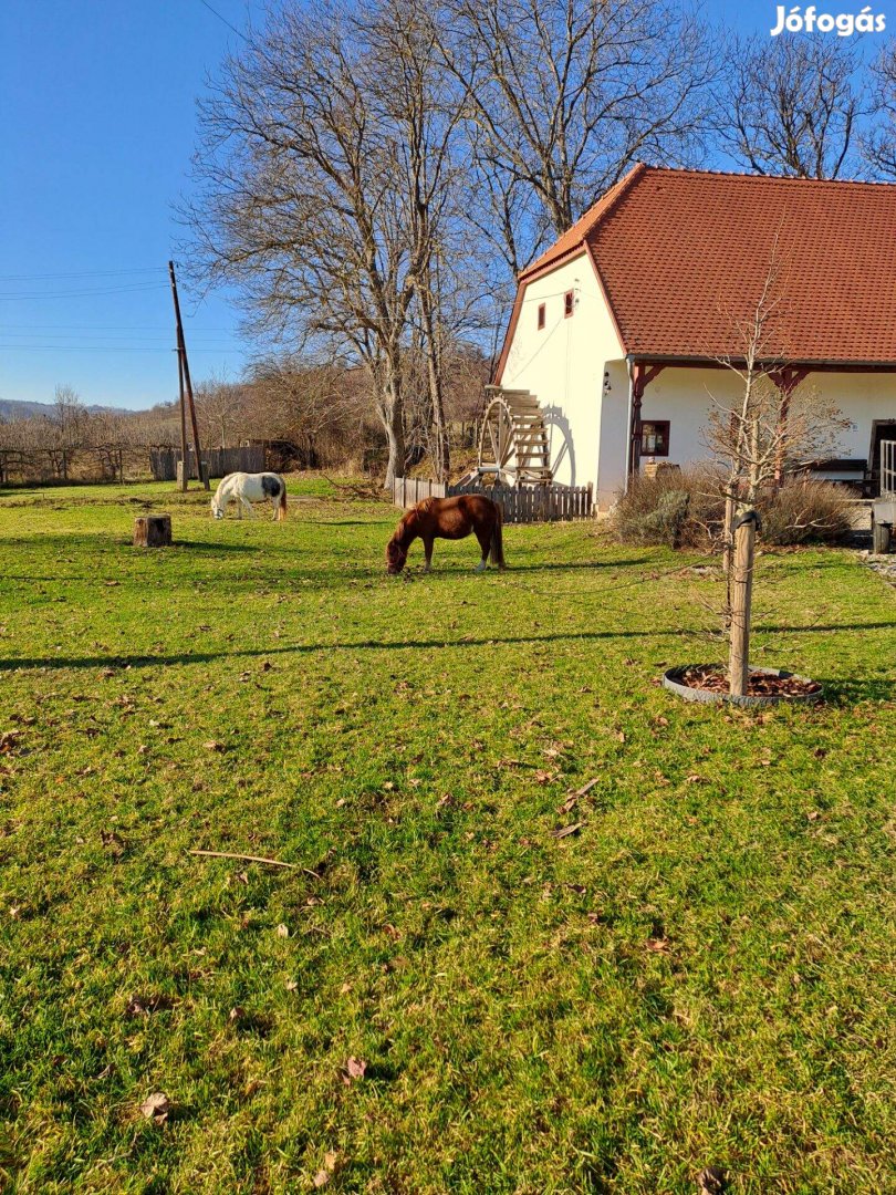 Eladó vékényi családi ház