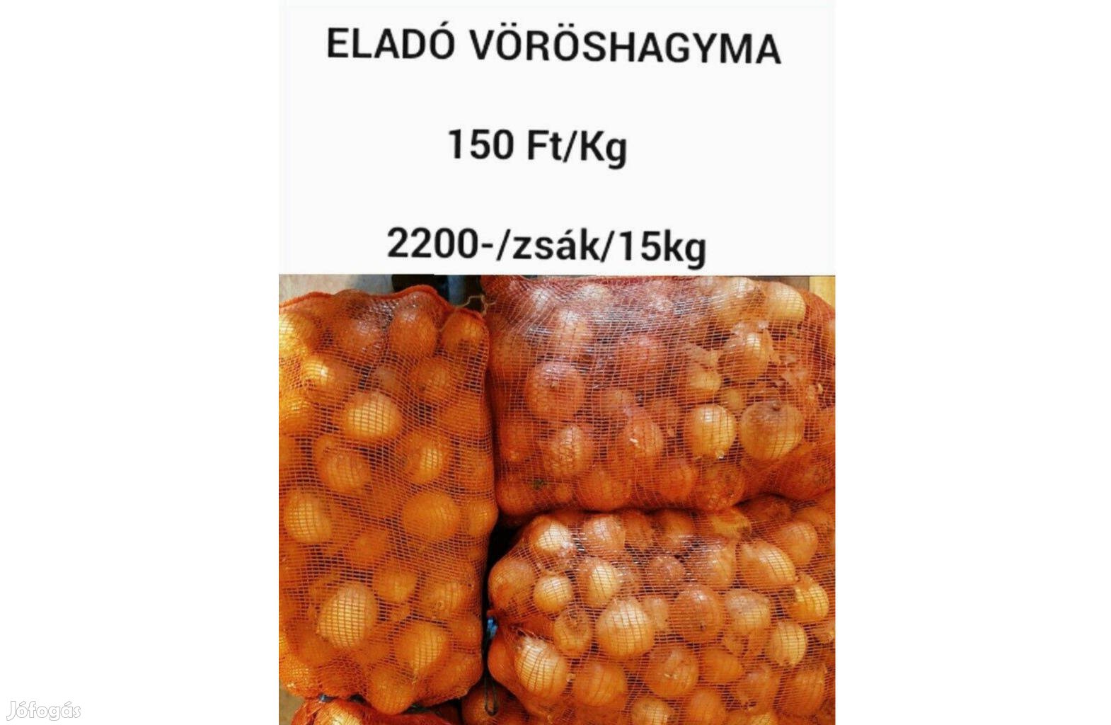 Eladó vöröshagyma Csongrád megyében