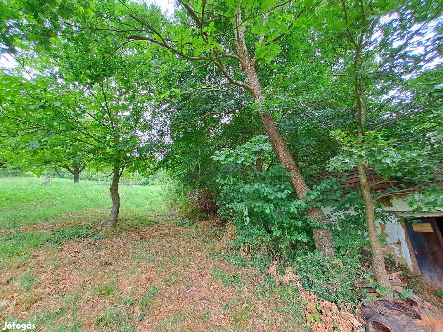 Eladó zártkerti ingatlan Zalaapátiban gyümölcsfákkal és