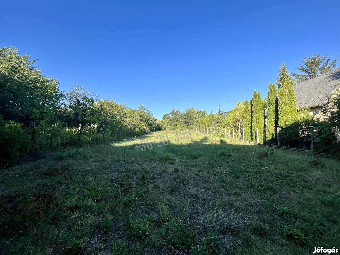 Eladó zártkerti telek Pátyon, a közkedvelt Mézeshegyen