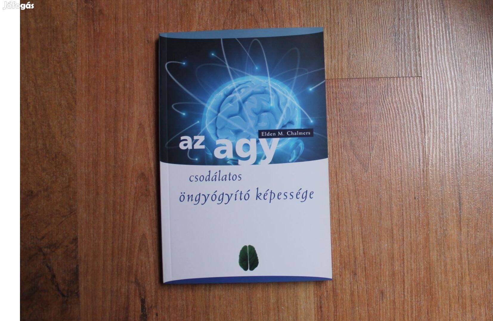 Elden M. Chalmers - Az agy csodálatos öngyógyító képessége