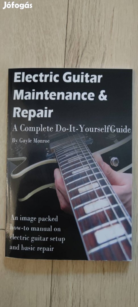 Electric Guitar Meitenance and repair 