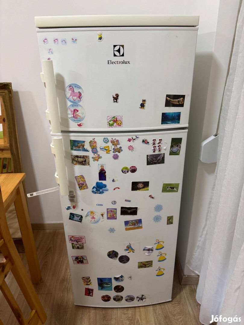 Electrolux hűtő