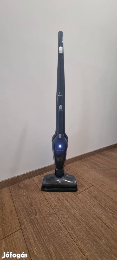 Electrolux kéziporszívó AR144L15