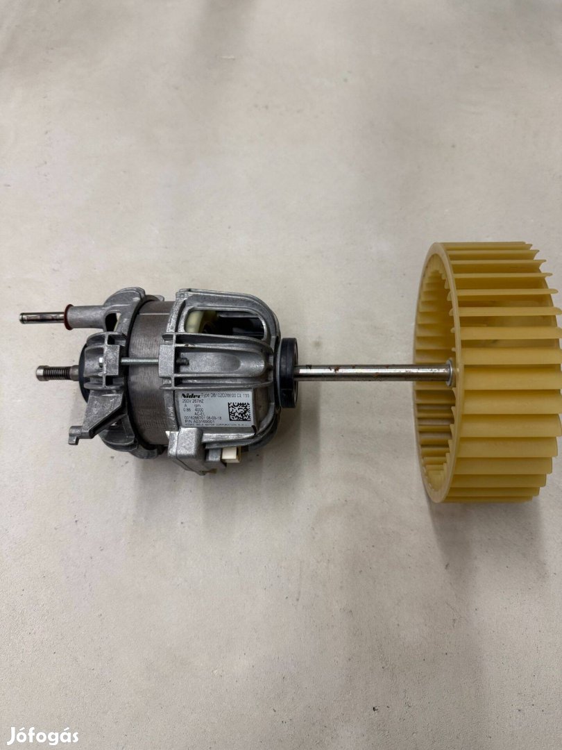Electrolux motor