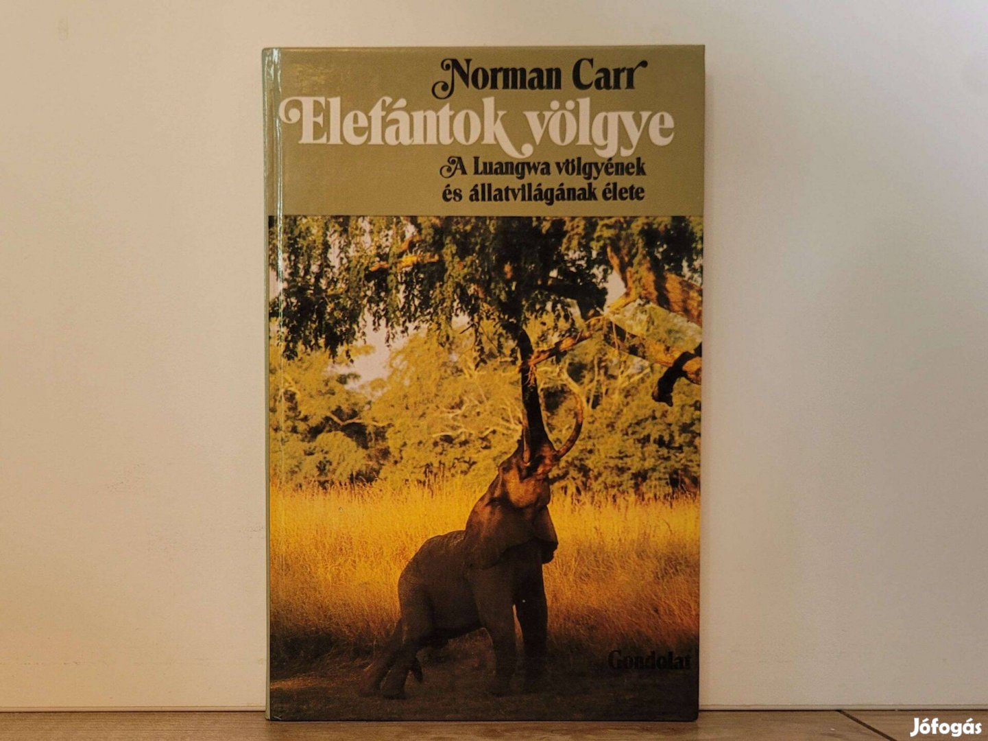 Elefántok völgye - Norman Carr könyv eladó