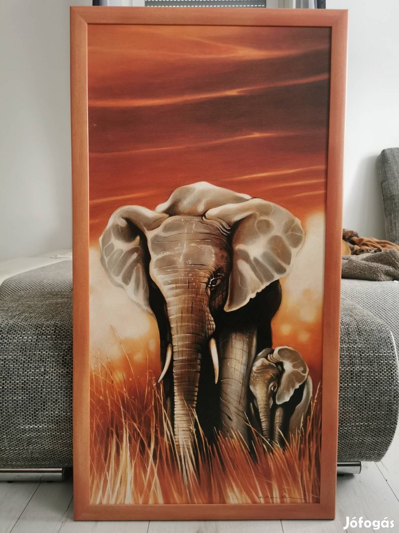 Elefántos Afrikai kép 