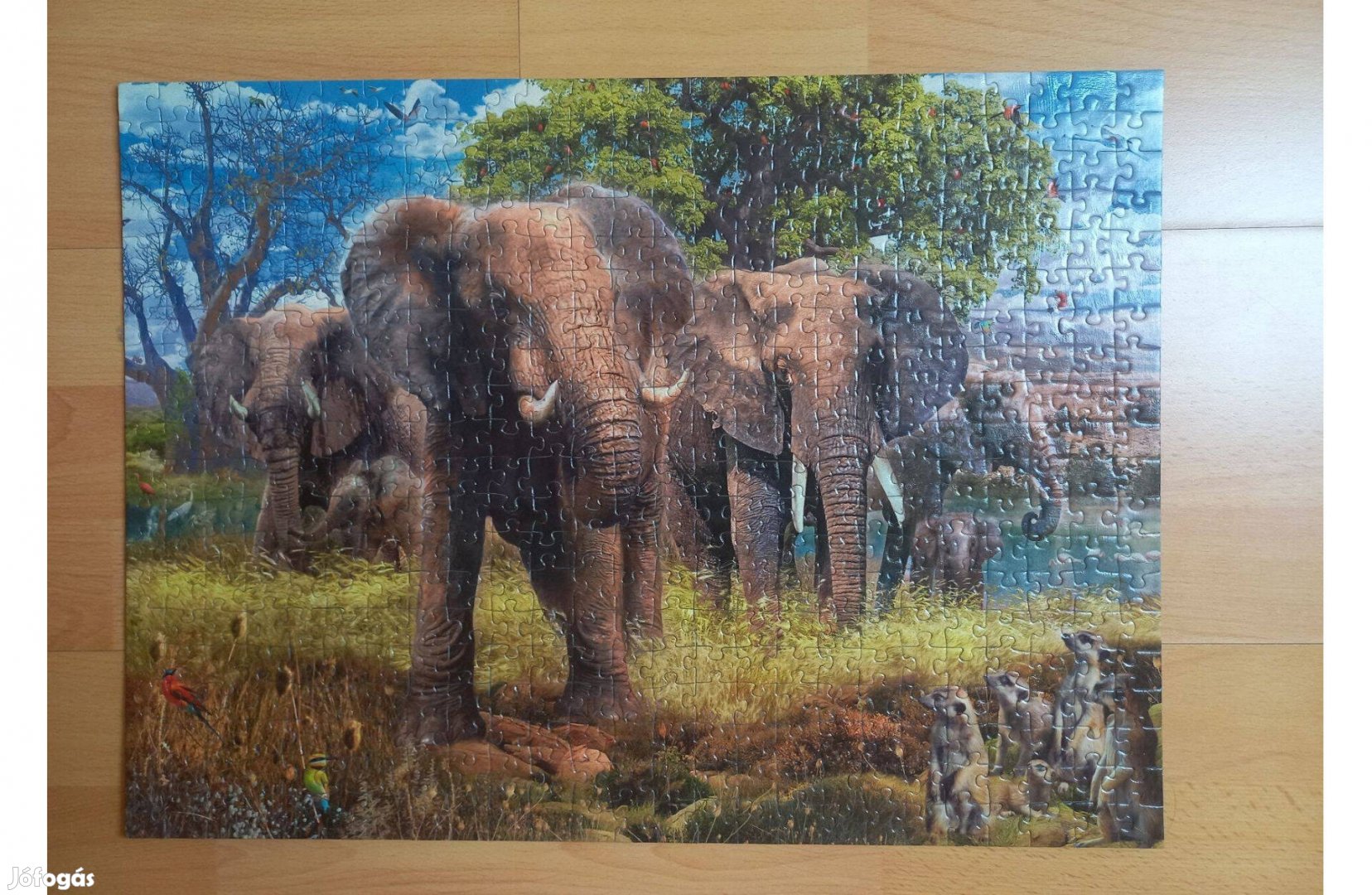 Elefántos puzzle kép 70cm x 50cm Szinte ingyen elvihető