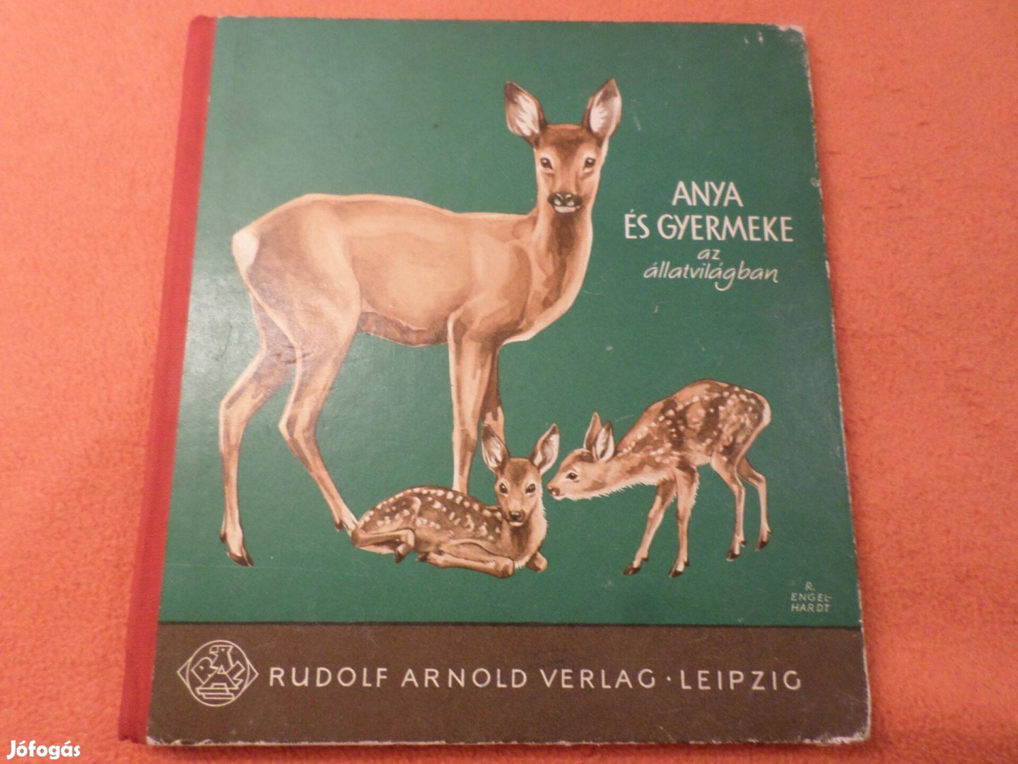 Elek István Anya és gyermeke az állatvilágban Antik! Gyermekkönyv,