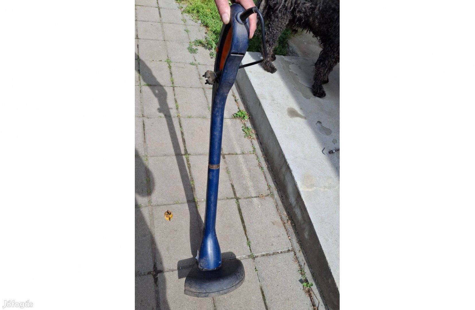 Elektromos fűszegély nyíró eladó !
