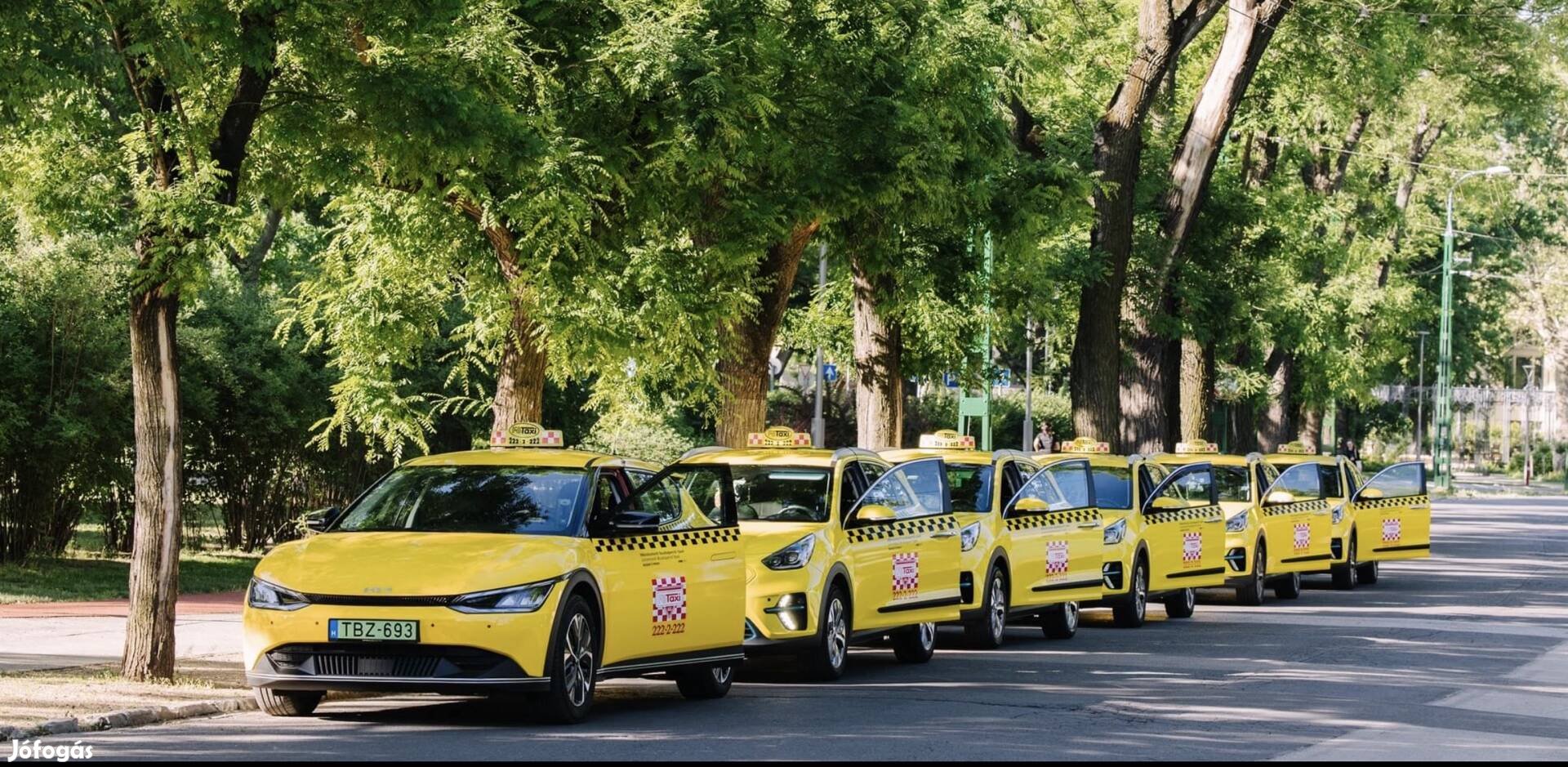 Elektromos taxik kiadók, taxisofőrt felveszünk, taxi kiadó