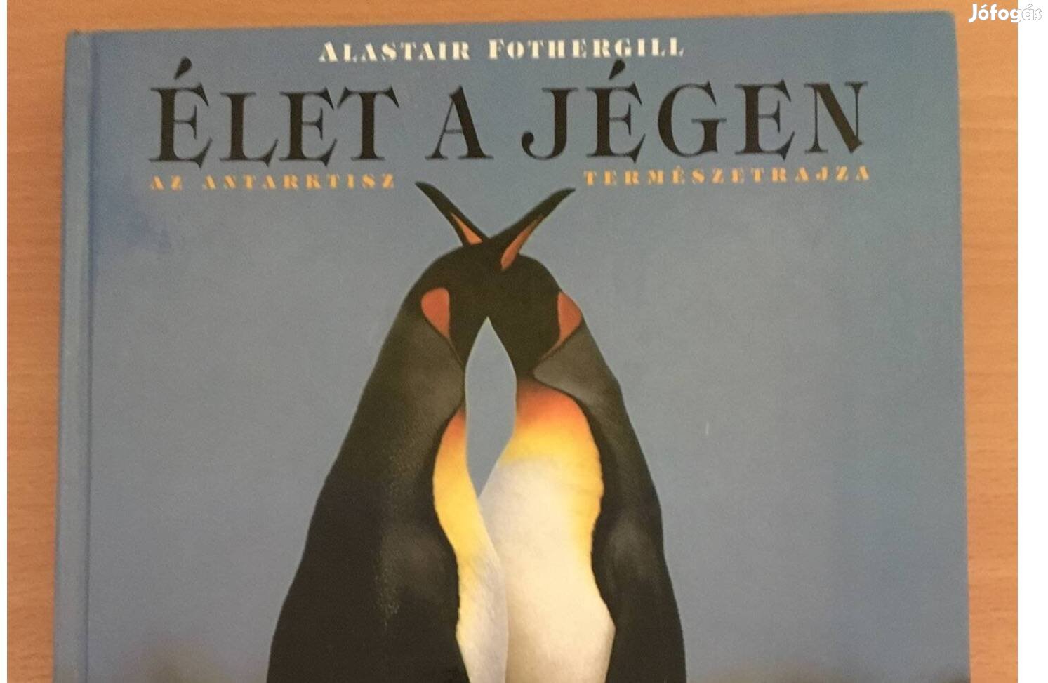 Élet a jégen