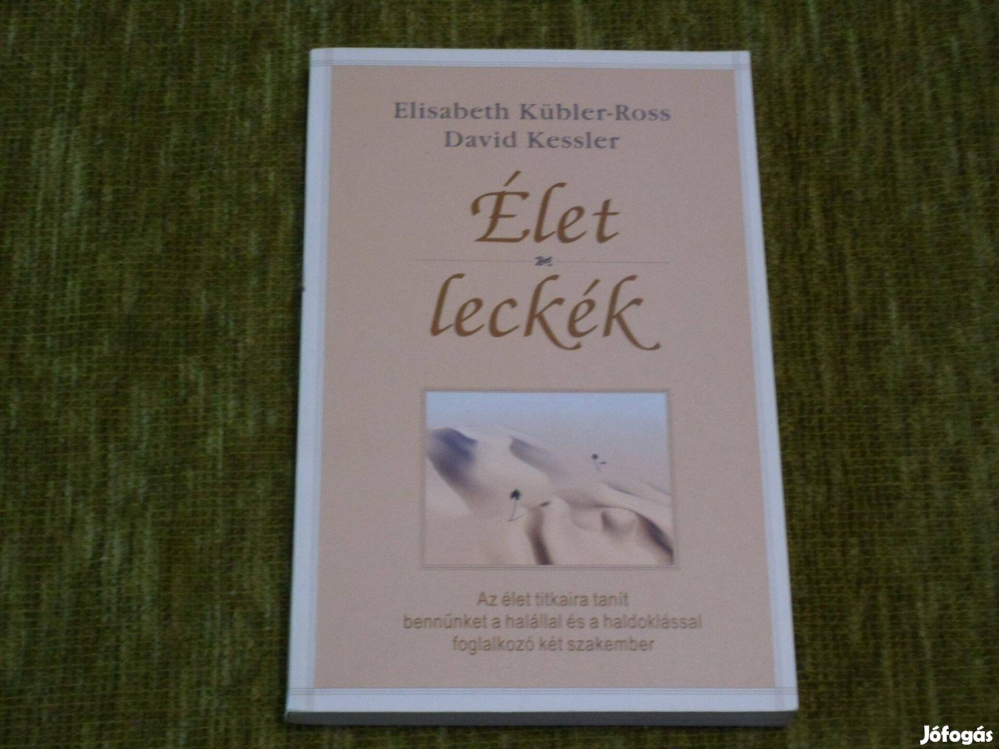 Élet-leckék - Az élet titkaira tanít bennünket a halállal és a haldokl