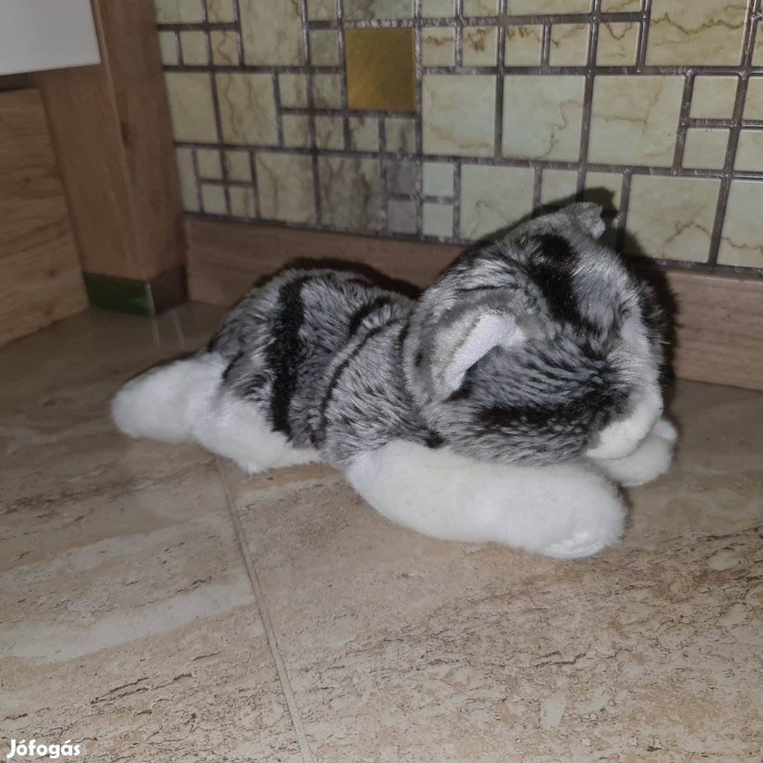 Élethű édes cica macska plüss Ganz 25cm új