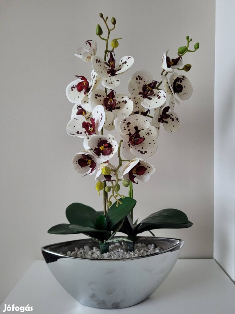Élethű orchidea