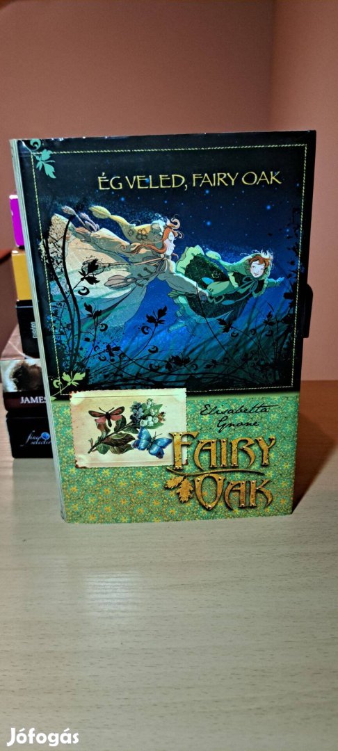 Elisabetta Gnone: Ég veled, Fairy Oak!