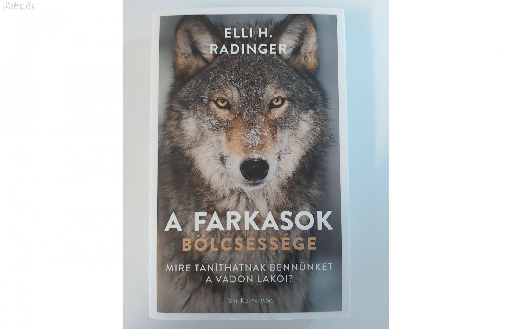 Elli H. Radinger: A farkasok bölcsessége