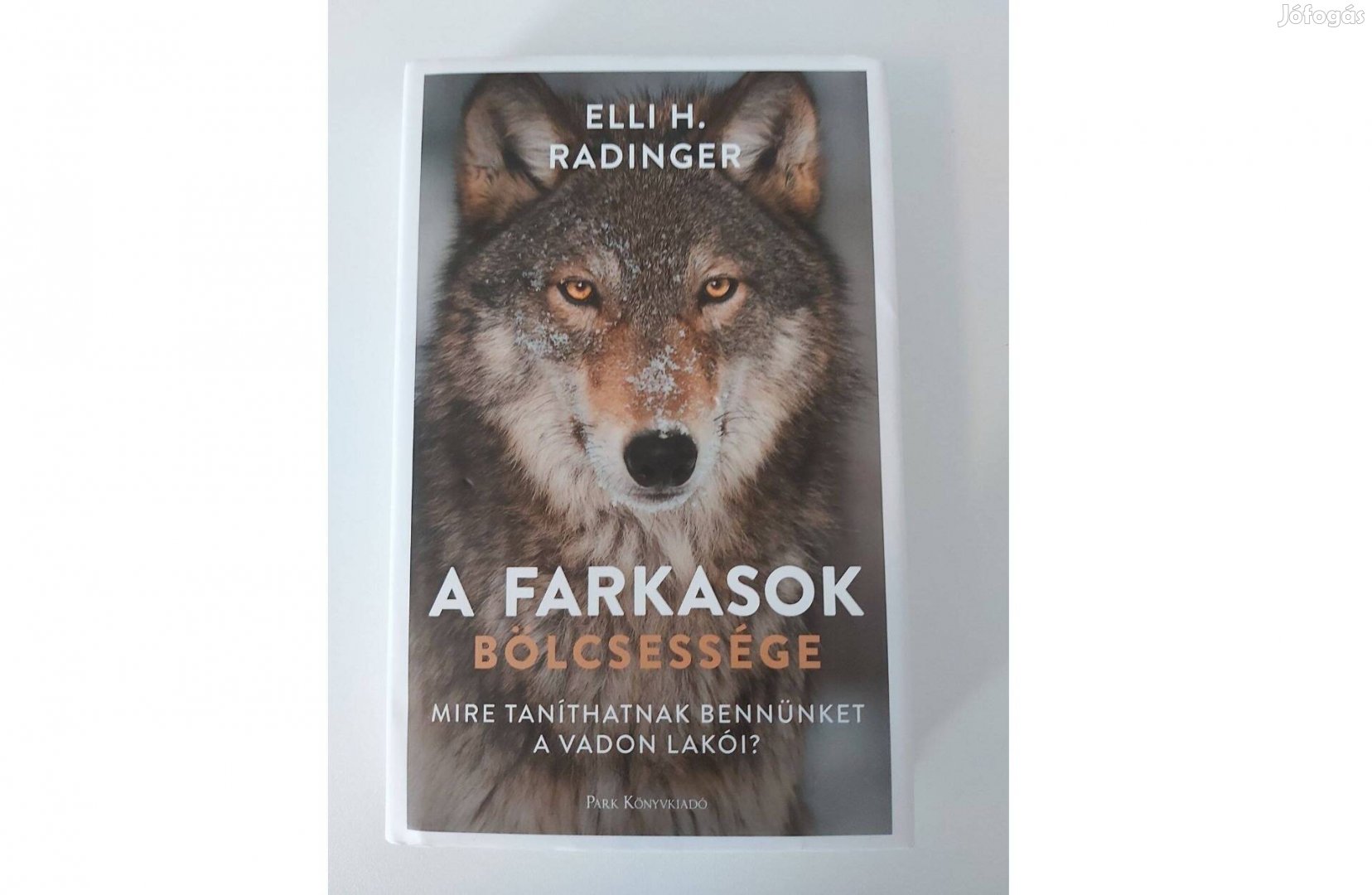 Elli H. Radinger A farkasok bölcsessége