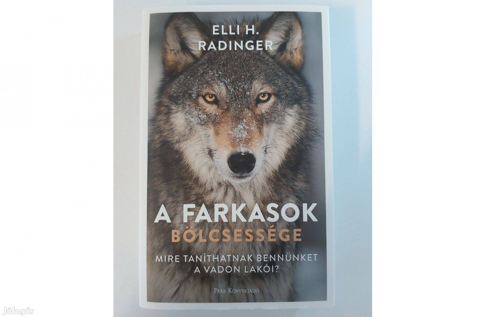 Elli H. Radinger: A farkasok bölcsessége