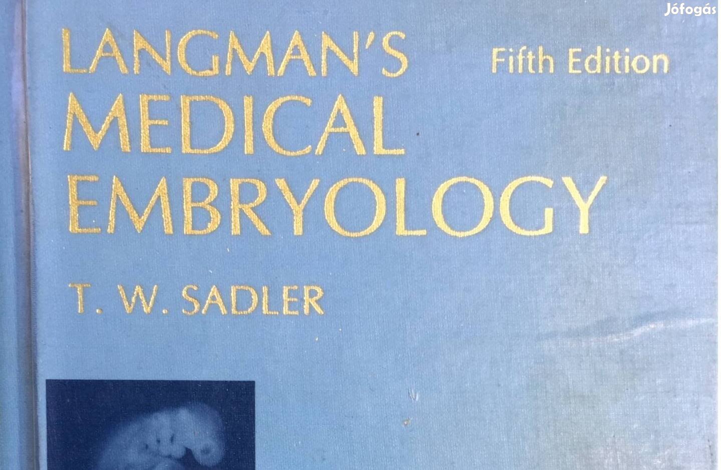 Embryology Langmans
