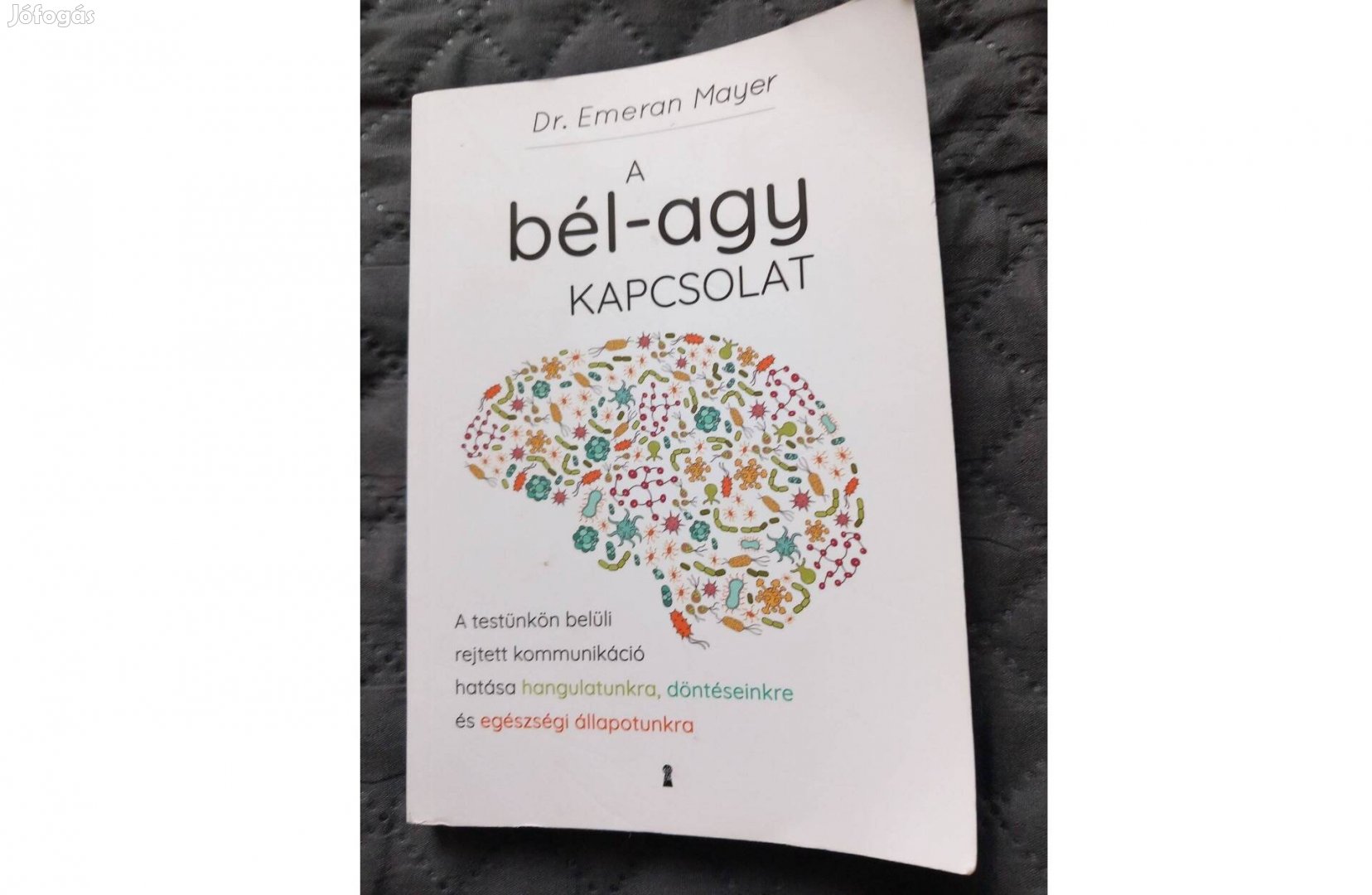 Emern Mayer: A bél-agy kapcsolat