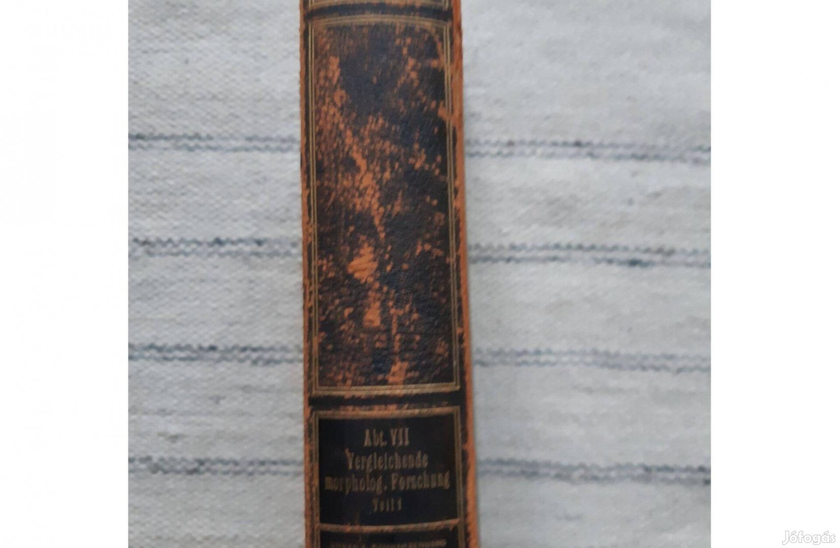 Emil Abdenhalden: Handbuch der biologischen Arbeitsmethoden VII