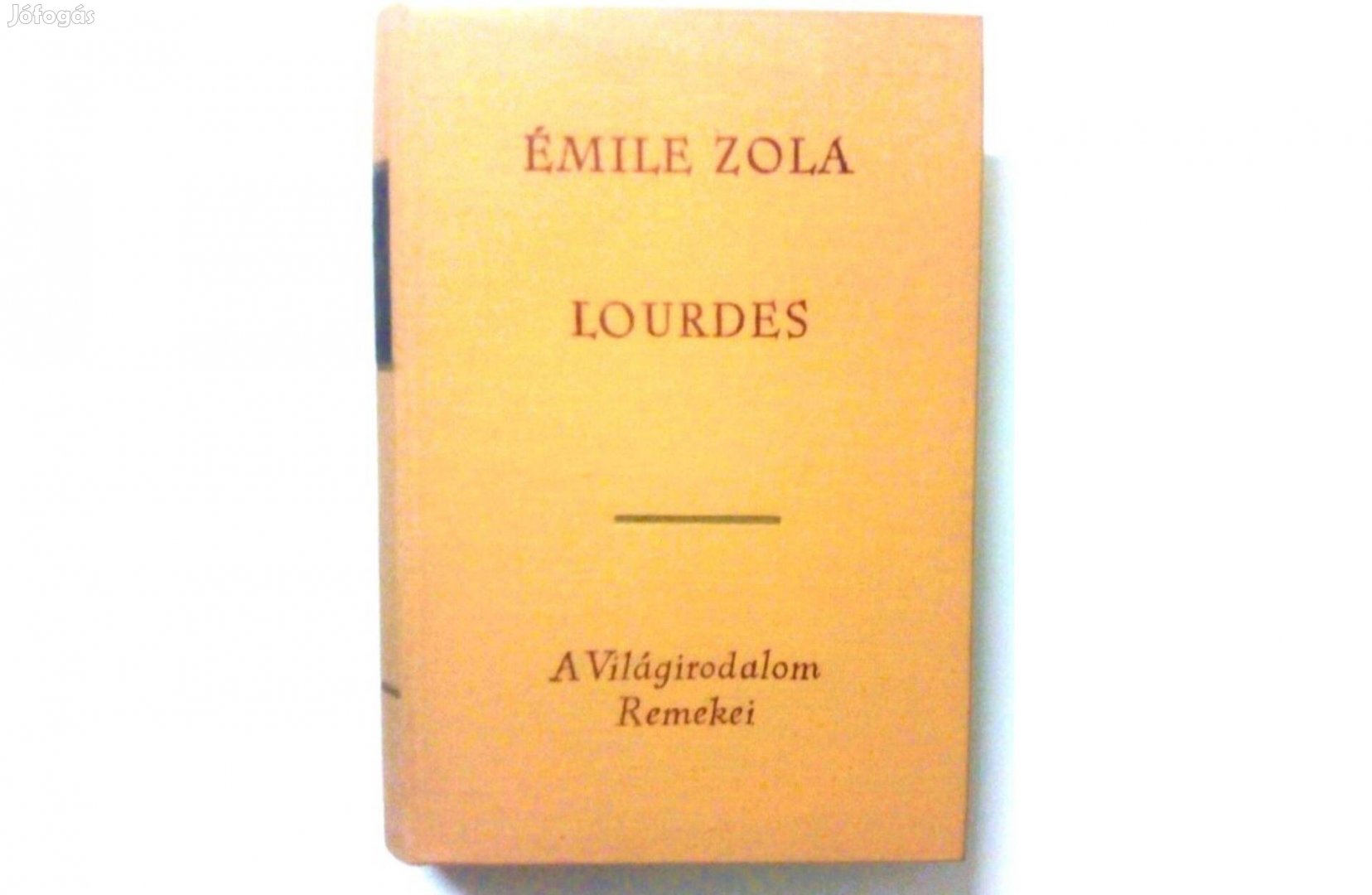 Émile Zola- Lurdes