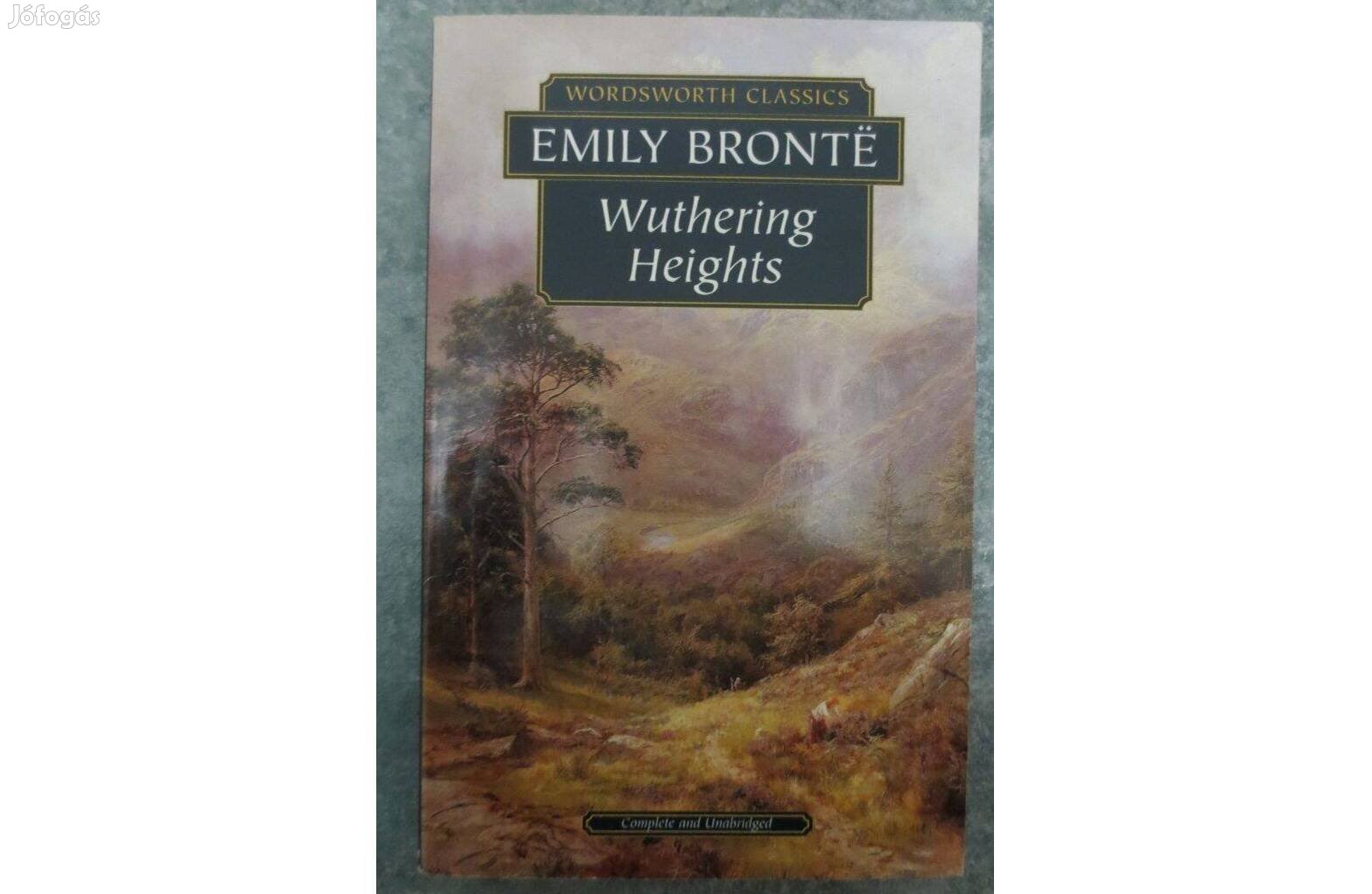 Emily Bronte Wuthering Heights Üvöltő szelek német nyelvű könyv