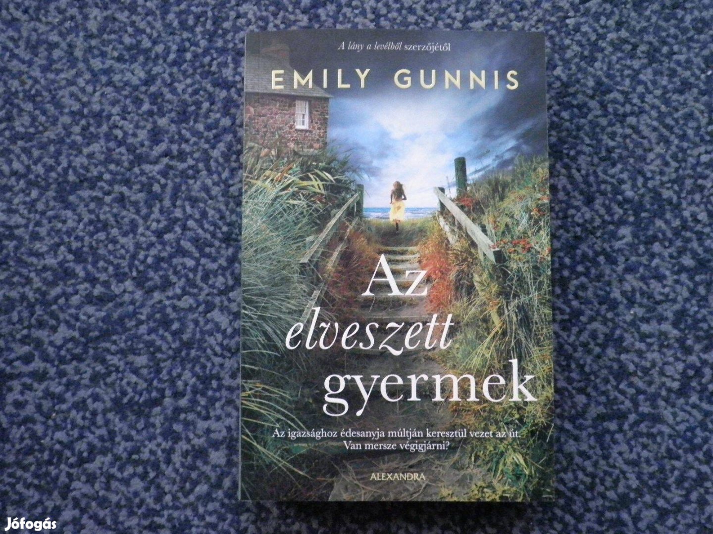 Emily Gunnis - Az elveszett gyermek