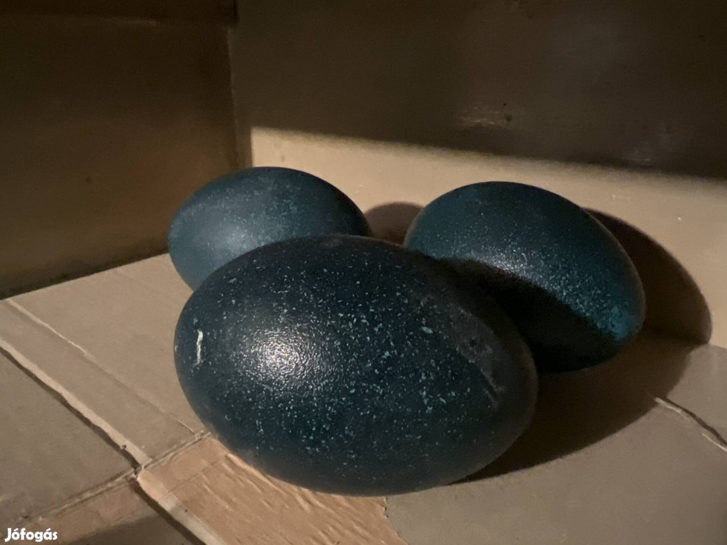 Emu tojás , húsvéti dekoráció