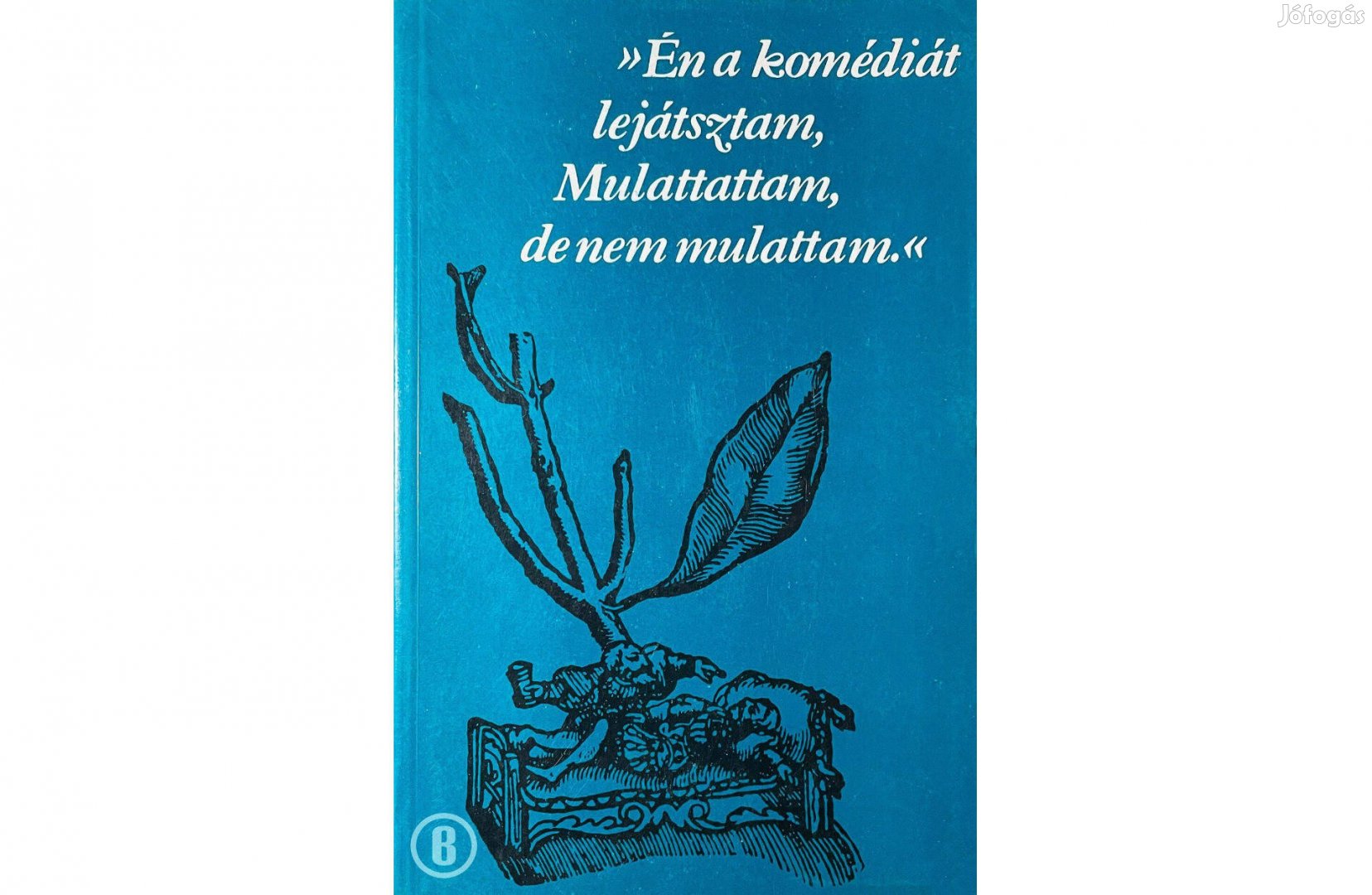 Én a komédiát lejátsztam, Mulattattam, de nem mulattam /Színészmúzeum