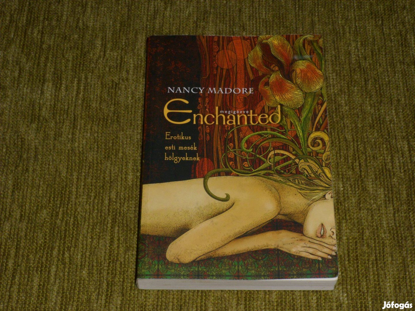 Enchanted megigézve - Erotikus esti mesék hölgyeknek