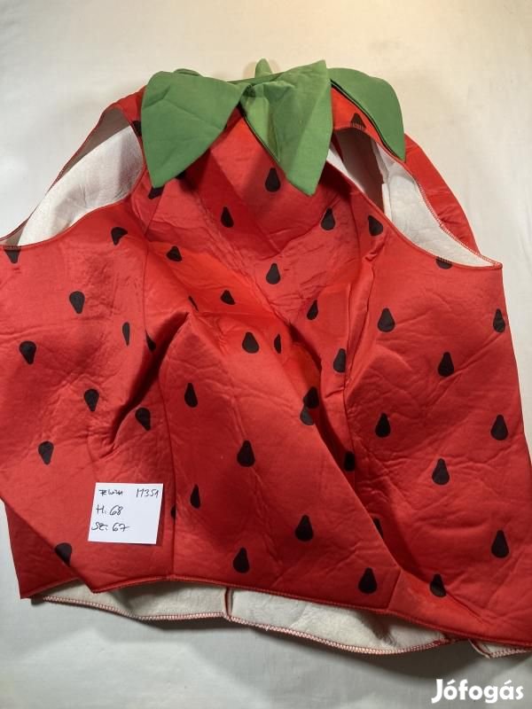 Eper jelmez, gyümölcs jelmez, felnőtt jelmez M351