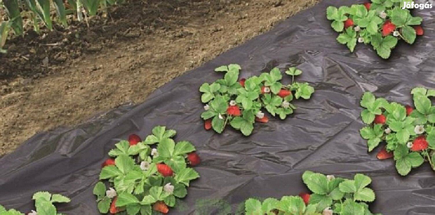 Eperfólia Mikroperforált Fresafilm - Talajtakaró 40 LDPE talajtak