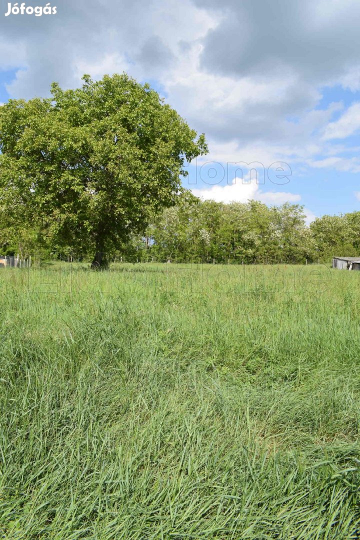 Építési telek Felpécen