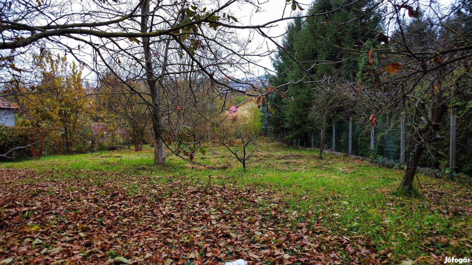 Építési telek Pomázon a Dera-patak partján