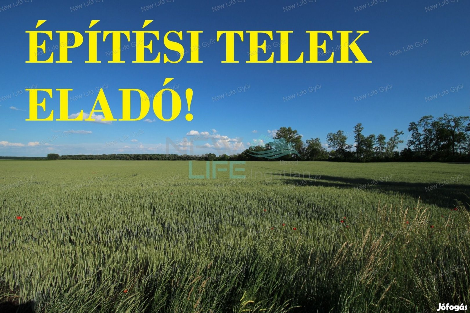 Építési telek a Szigetközben!