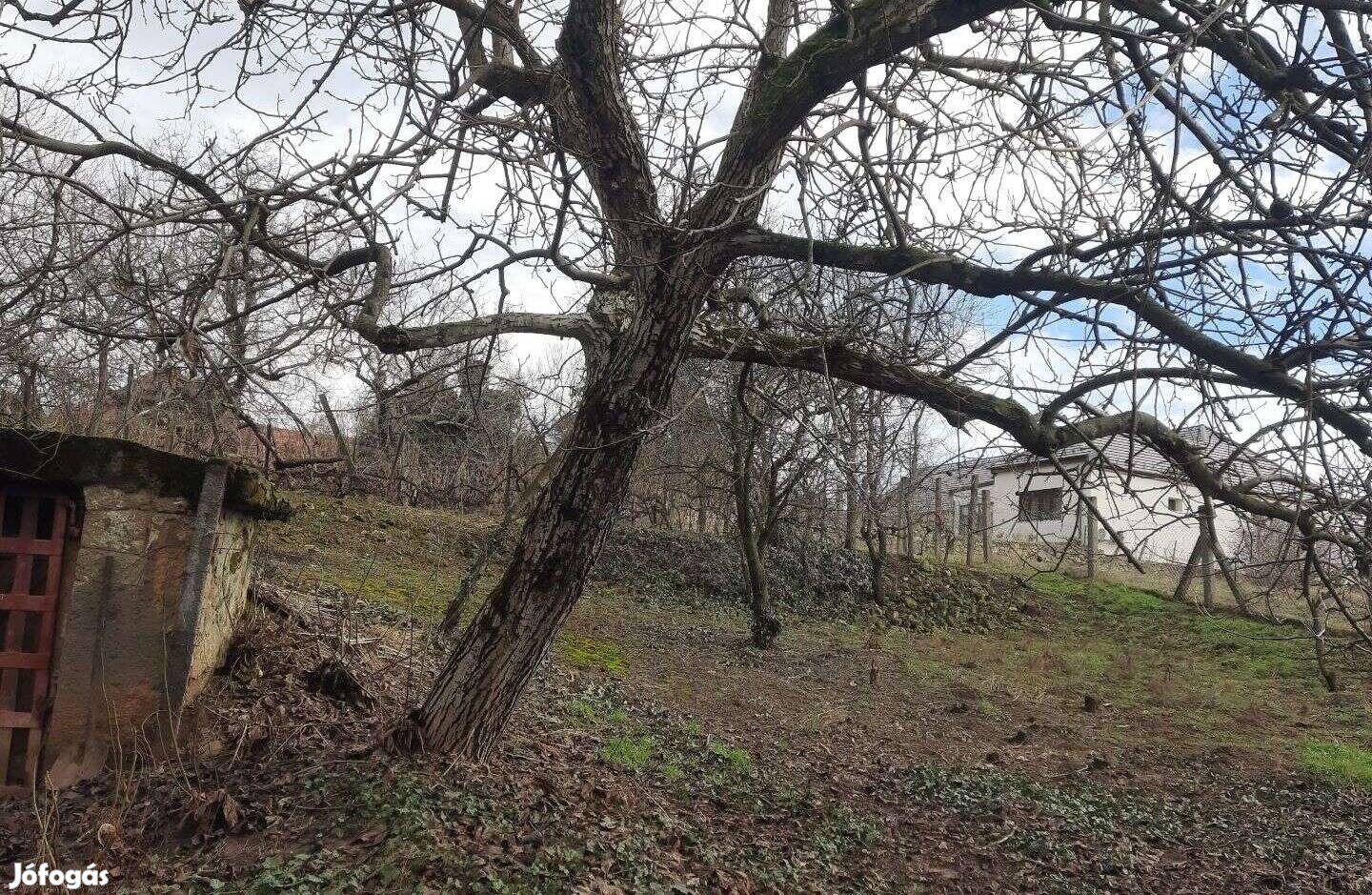 Építőipari vagy bútoripari felhasználásra alkalmas