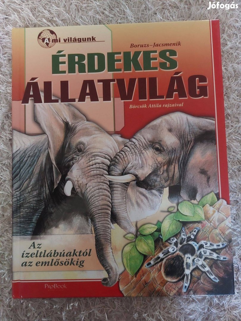 Érdekes állatvilág ismeretterjedztő könyv gyerekeknekk