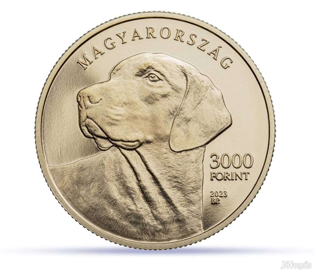 Erdélyi kopó 3000 forint 