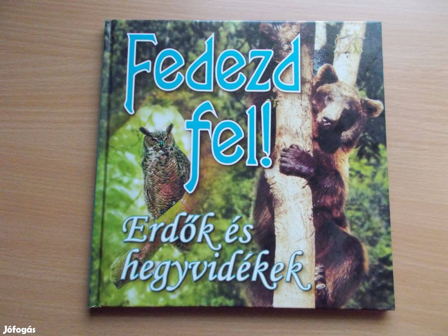 Erdők és hegyvidékek - Fedezd fel!